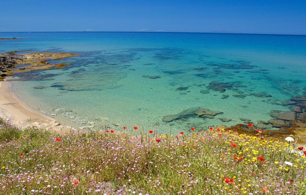 Appartamento Per Vacanza กัสเตลซาร์โด ภายนอก รูปภาพ